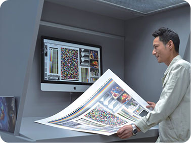 CTP Soft Proof System